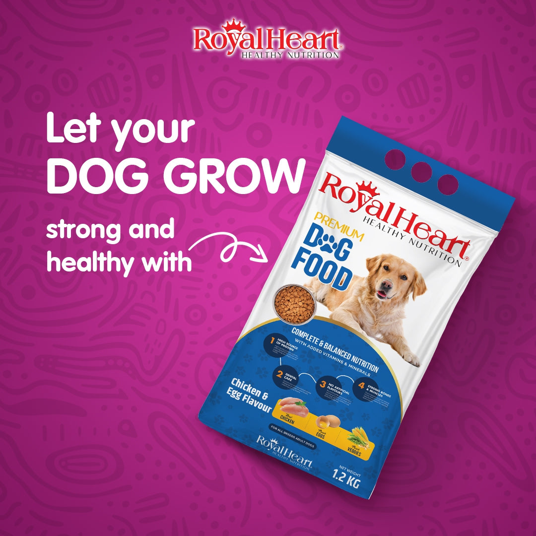 Royal Heart Dog Food 1.2 KG β Affordable & Nutritious Dog Food in Pakistan