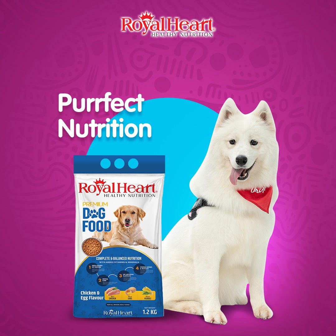 Royal Heart Dog Food 1.2 KG β Affordable & Nutritious Dog Food in Pakistan