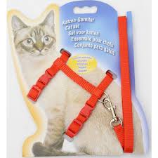 Cat Body Harness – Comfortable & Adjustable