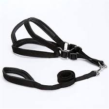 Durable Dog Harness Vest Strap with Leash – No-Pull, Adjustable & Comfortable
