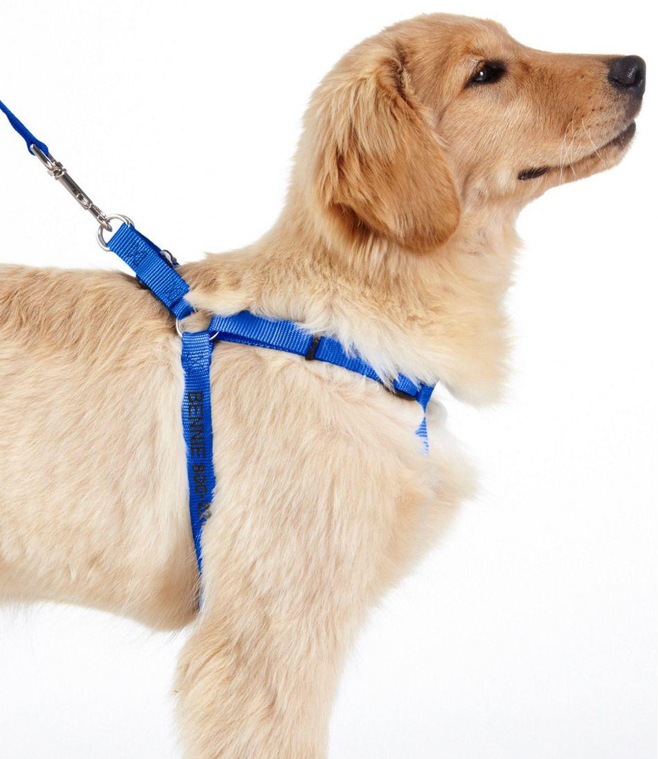 Durable Dog Harness Vest Strap with Leash – No-Pull, Adjustable & Comfortable