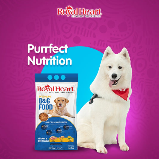 Royal Heart Dog Food 1.2 KG – Affordable & Nutritious Dog Food in Pakistan