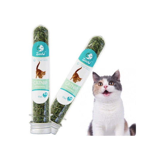 Catnip Tube 40ML – Natural Cat Nip in Pakistan