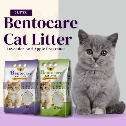 Bentocare Premium Quality Cat Litter – Apple & Lavender Scent | Clumping Litter in Pakistan