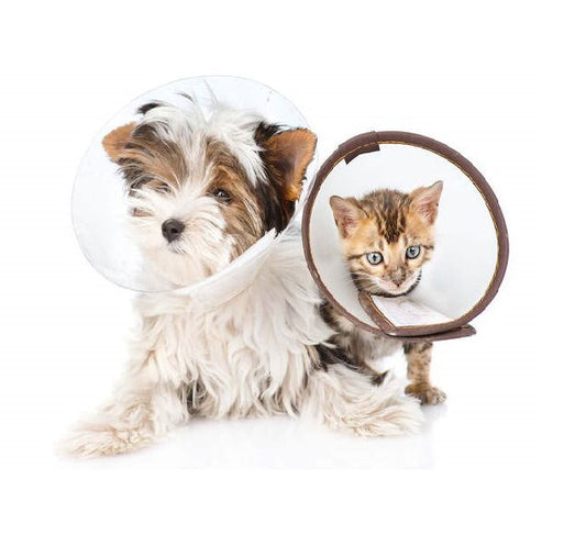 Soft Recovery E-Collar for Cats & Dogs – Adjustable Protective Cone for Post-Surgery & Wound Care